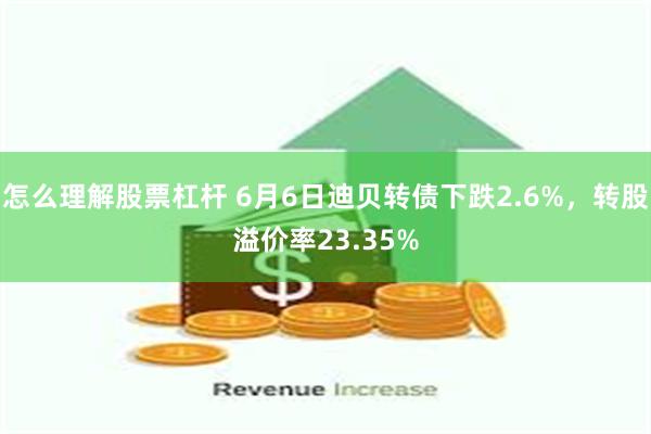 怎么理解股票杠杆 6月6日迪贝转债下跌2.6%，转股溢价率23.35%