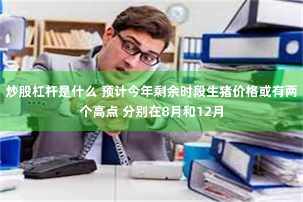 炒股杠杆是什么 预计今年剩余时段生猪价格或有两个高点 分别在8月和12月