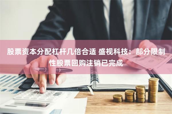 股票资本分配杠杆几倍合适 盛视科技：部分限制性股票回购注