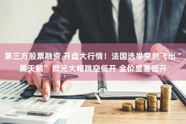 第三方股票融资 开盘大行情！法国选举突然飞出“黑天鹅” 欧元大幅跳空低开 金价显著低开