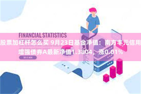 股票加杠杆怎么买 9月23日基金净值：南方丰元信用增强债券A最新净值1.3804，涨0.01%