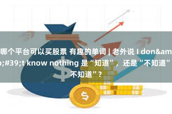 哪个平台可以买股票 有趣的单词 | 老外说 I don&#39;t know nothing 是“知道”，还是“不知道”?