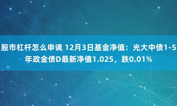 股市杠杆怎么申请 12月3日基金净值：光大中债1-5年政金债D最新净值1.025，跌0.01%