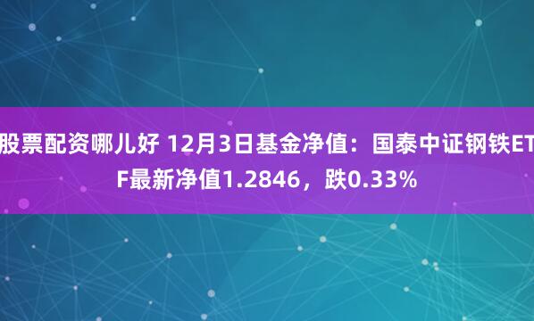 股票配资哪儿好 12月3日基金净值：国泰中证钢铁ETF最新净值1.2846，跌0.33%