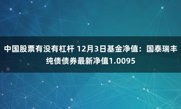 中国股票有没有杠杆 12月3日基金净值：国泰瑞丰纯债债券最新净值1.0095