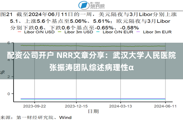 配资公司开户 NRR文章分享：武汉大学人民医院张振涛团队综述病理性α