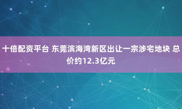 十倍配资平台 东莞滨海湾新区出让一宗涉宅地块 总价约12.3亿元