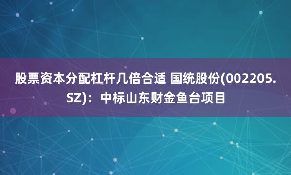 股票资本分配杠杆几倍合适 国统股份(002205.SZ)：中标山东财金鱼台项目