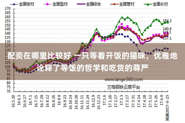 配资在哪里比较好 一只等着开饭的猫咪，优雅地诠释了等饭的哲学和吃货的尊严